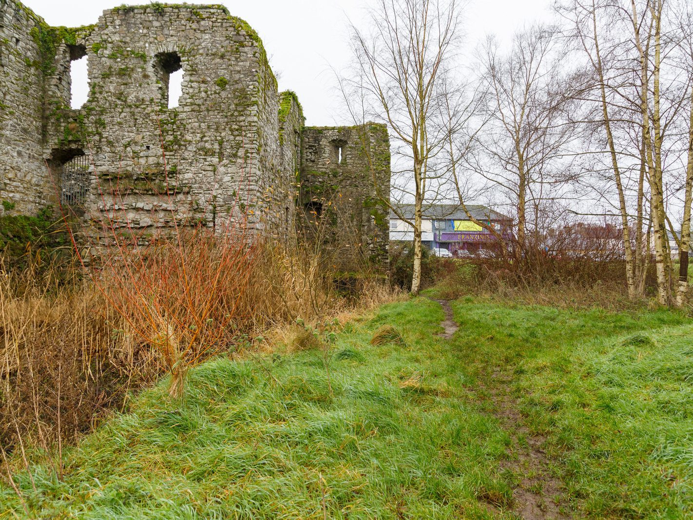 ON ST STEPHEN'S DAY I VISITED THE SOUTH BANK IN ORDER TO PHOTOGRAPH TRIM CASTLE [26 DECEMBER 2023]-226510-1
