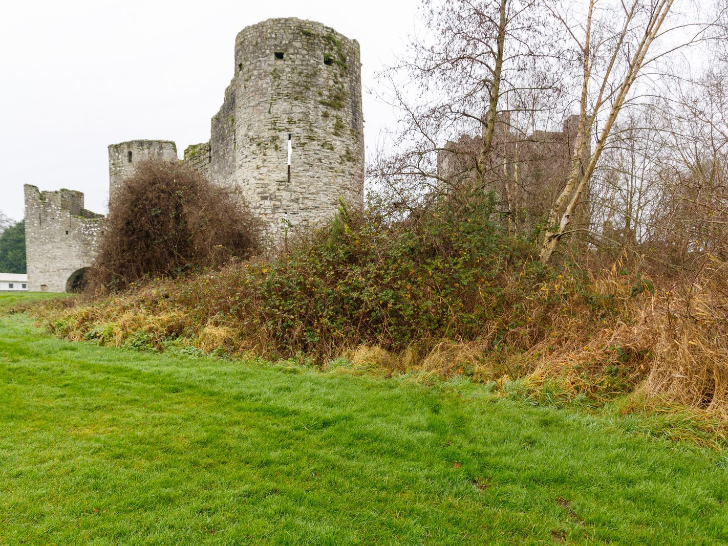 ON ST STEPHEN'S DAY I VISITED THE SOUTH BANK IN ORDER TO PHOTOGRAPH TRIM CASTLE [26 DECEMBER 2023]-226517-1