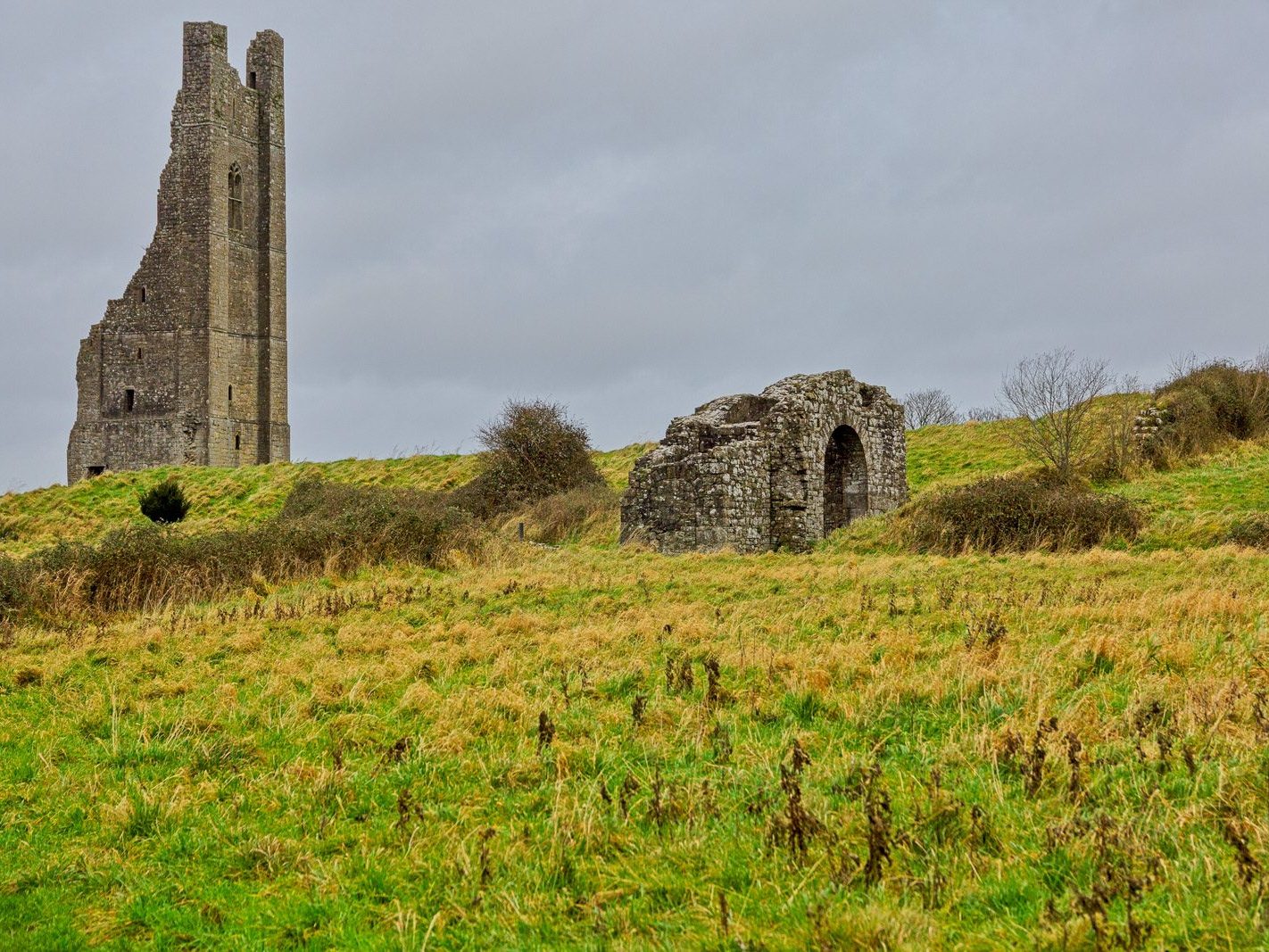 THE YELLOW STEEPLE DOMINATES THE TOWN OF TRIM [ALSO KNOWN AS ST MARYS ABBEY]-226735-1