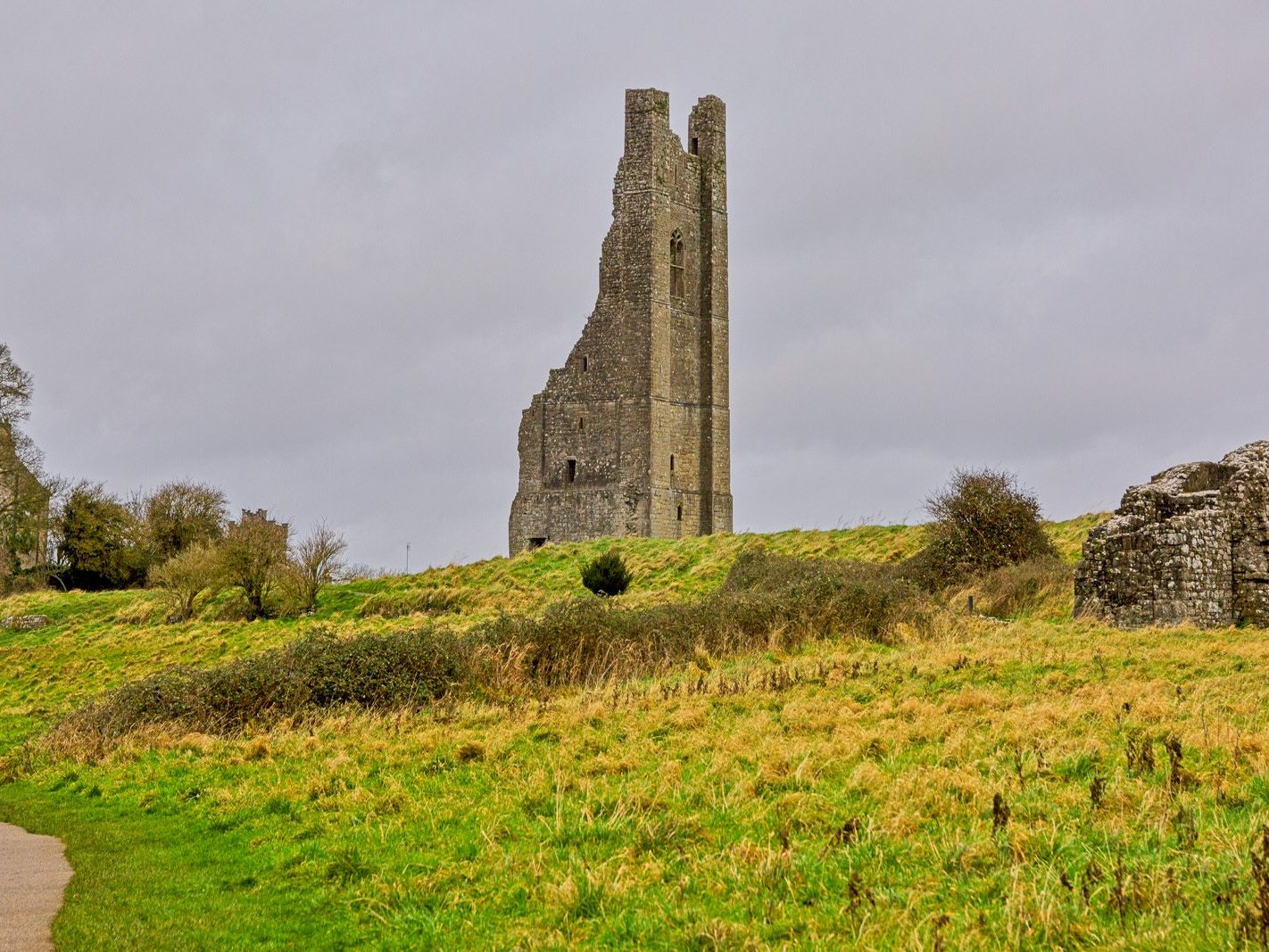 THE YELLOW STEEPLE DOMINATES THE TOWN OF TRIM [ALSO KNOWN AS ST MARYS ABBEY]-226736-1