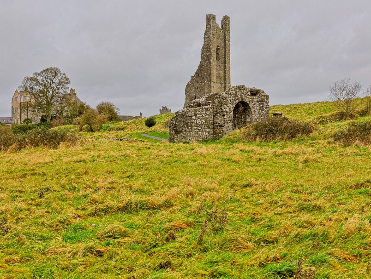 THE YELLOW STEEPLE DOMINATES THE TOWN OF TRIM [ALSO KNOWN AS ST MARYS ABBEY]-226737-1