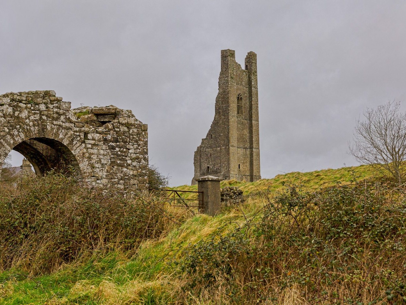 THE YELLOW STEEPLE DOMINATES THE TOWN OF TRIM [ALSO KNOWN AS ST MARYS ABBEY]-226739-1