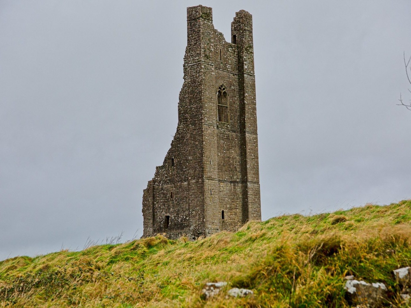 THE YELLOW STEEPLE DOMINATES THE TOWN OF TRIM [ALSO KNOWN AS ST MARYS ABBEY]-226741-1