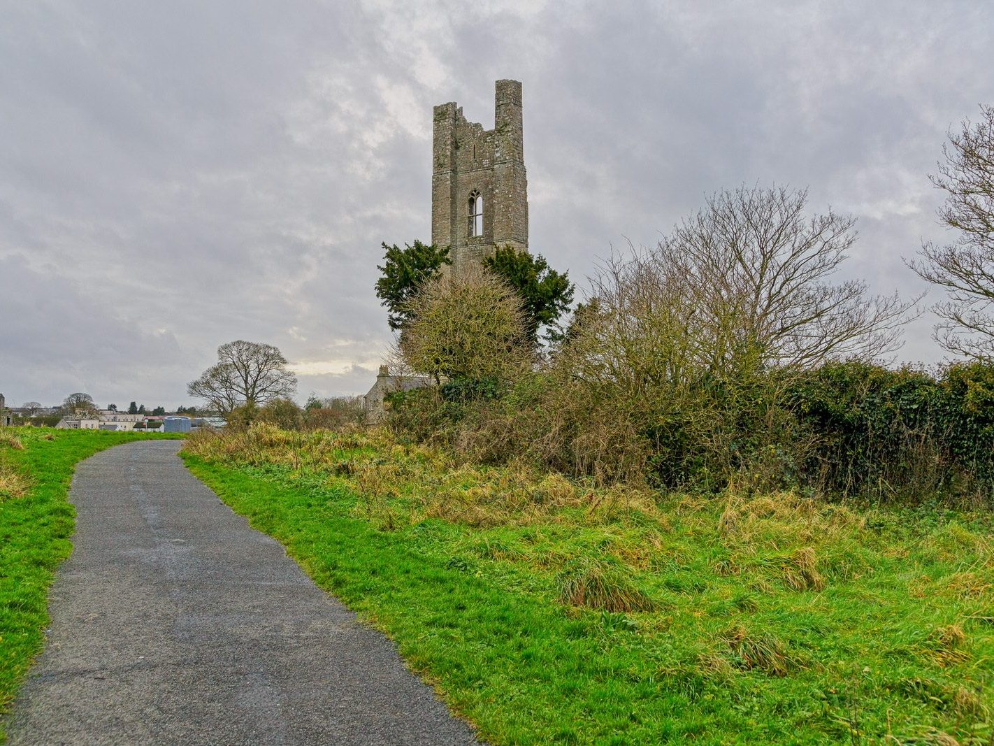 THE YELLOW STEEPLE DOMINATES THE TOWN OF TRIM [ALSO KNOWN AS ST MARYS ABBEY]-226746-1