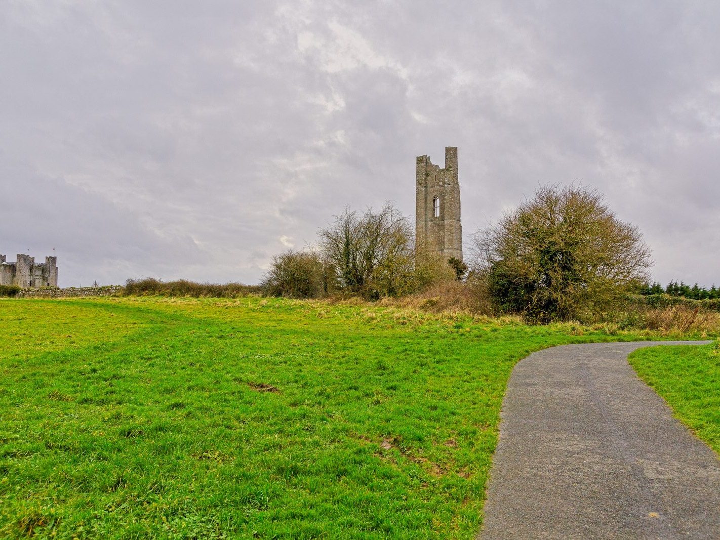 THE YELLOW STEEPLE DOMINATES THE TOWN OF TRIM [ALSO KNOWN AS ST MARYS ABBEY]-226748-1