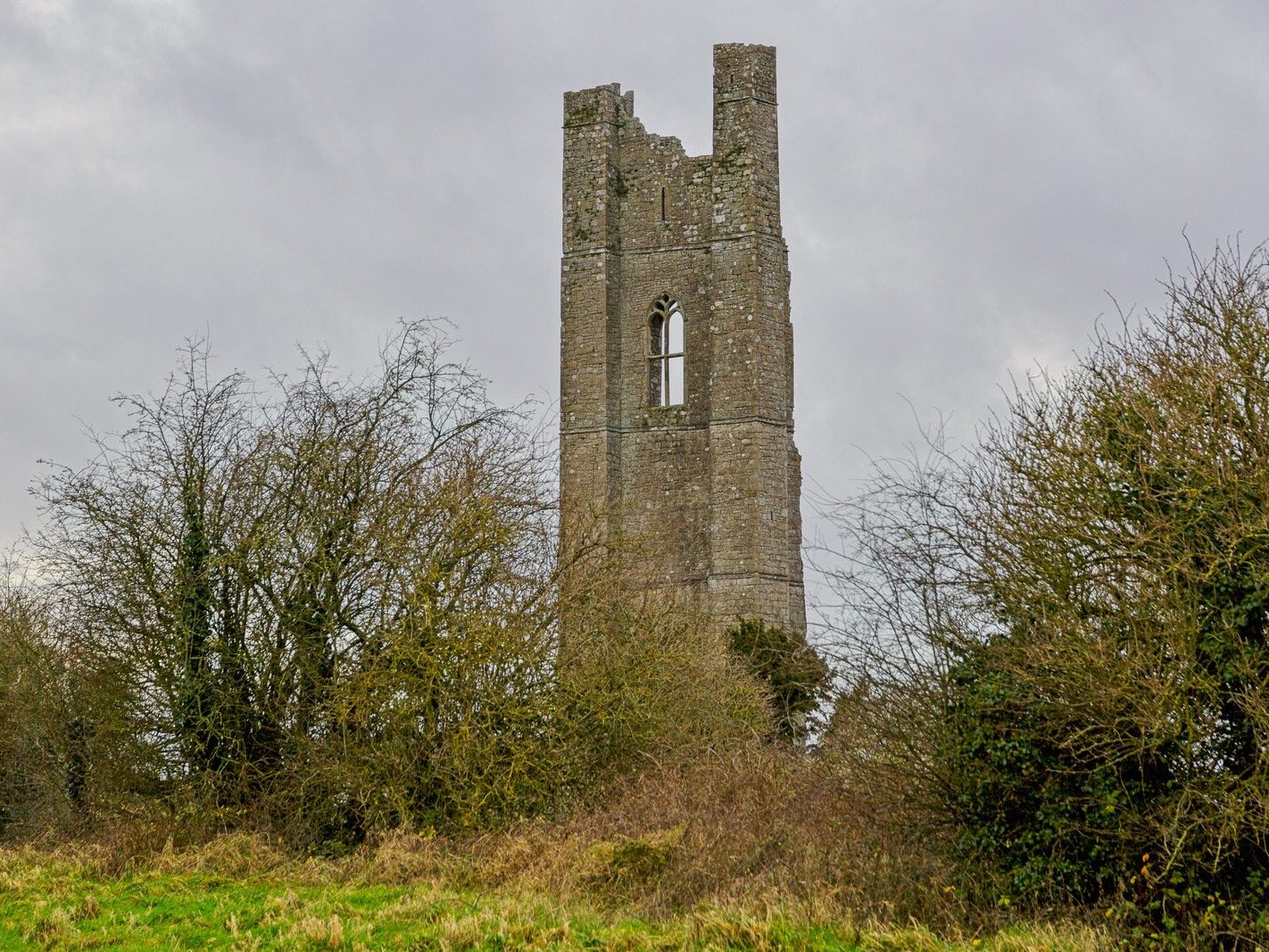 THE YELLOW STEEPLE DOMINATES THE TOWN OF TRIM [ALSO KNOWN AS ST MARYS ABBEY]-226749-1