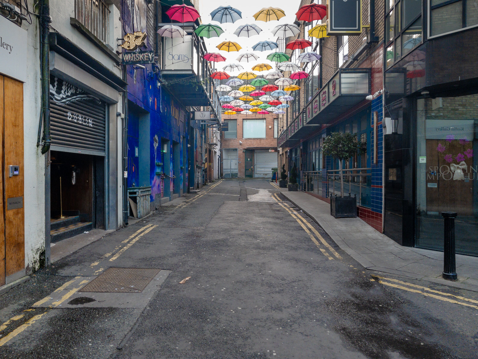 UMBRELLA STREET