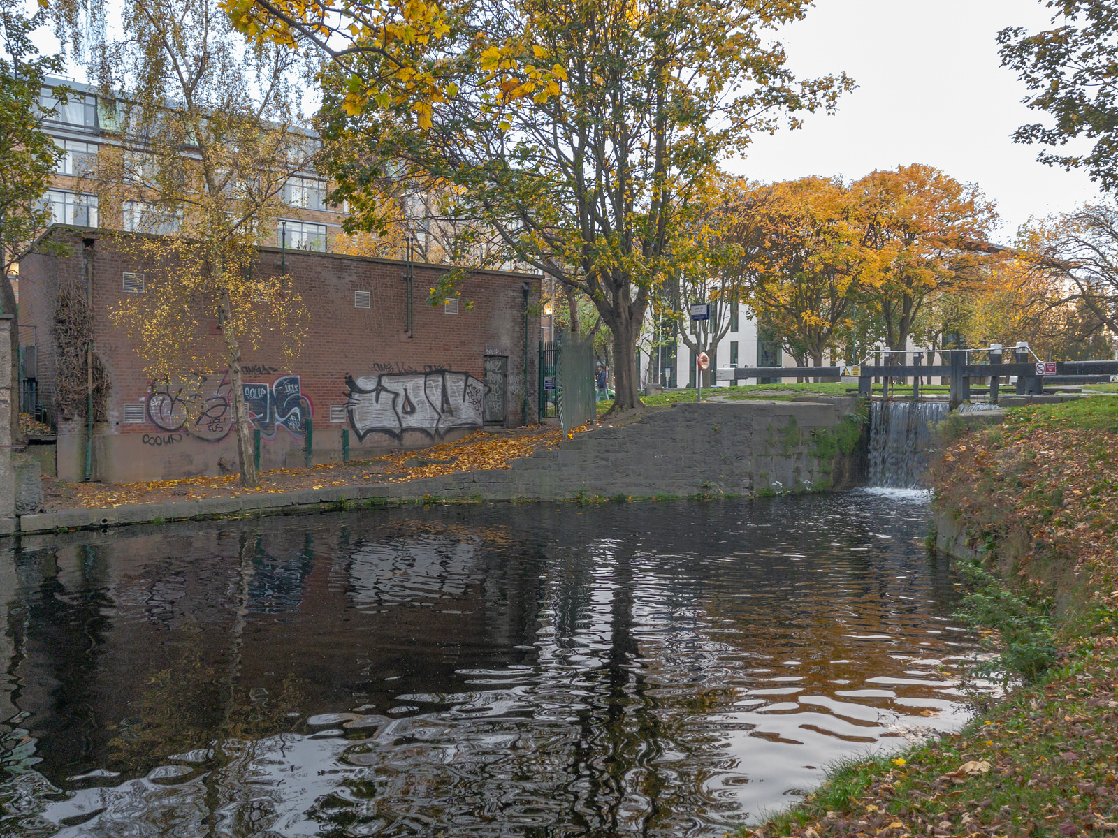 WINDSOR TERRACE ALONG THE GRAND CANAL