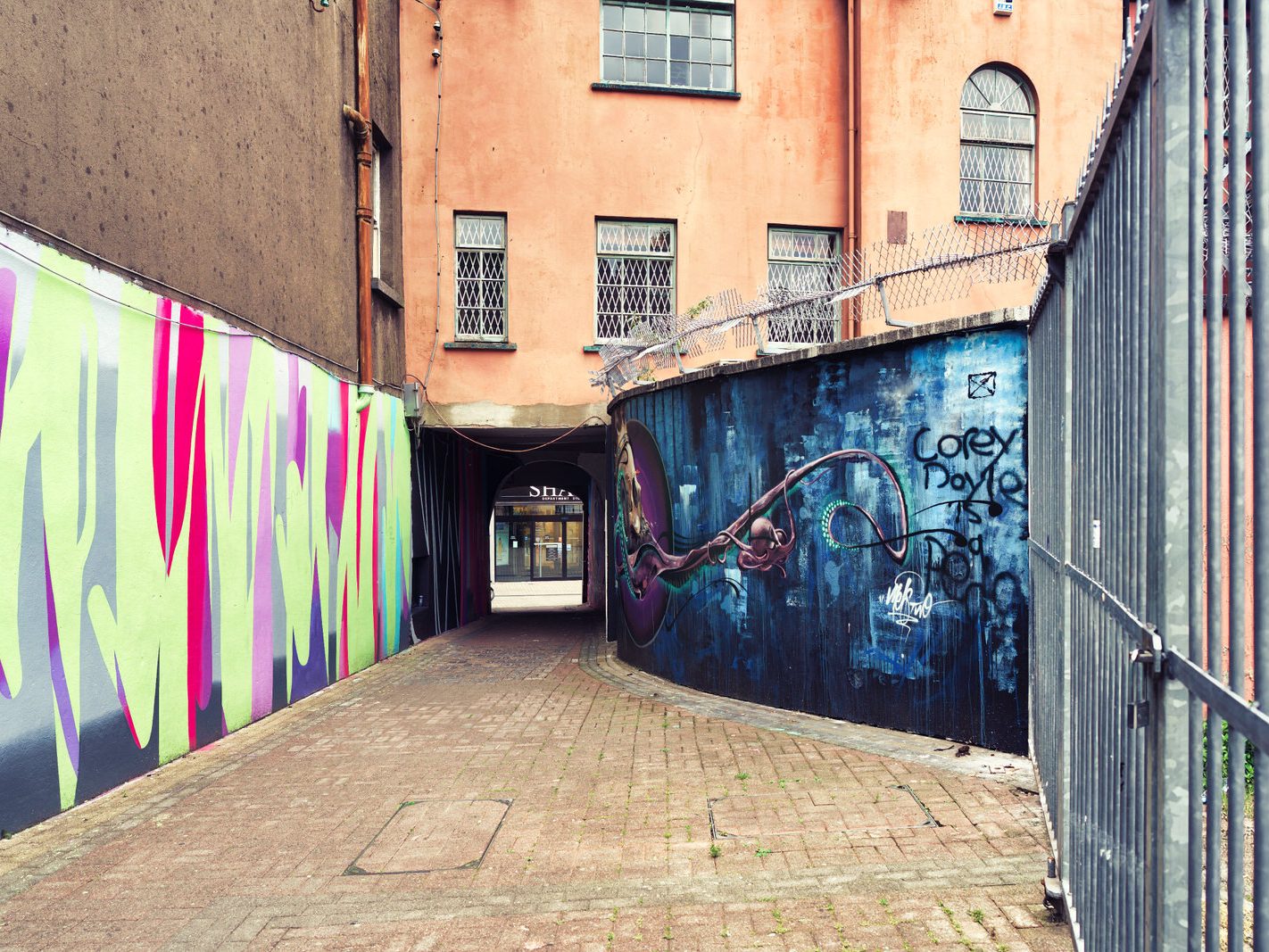 STREET ART IN WATERFORD IN MAY 2016 004