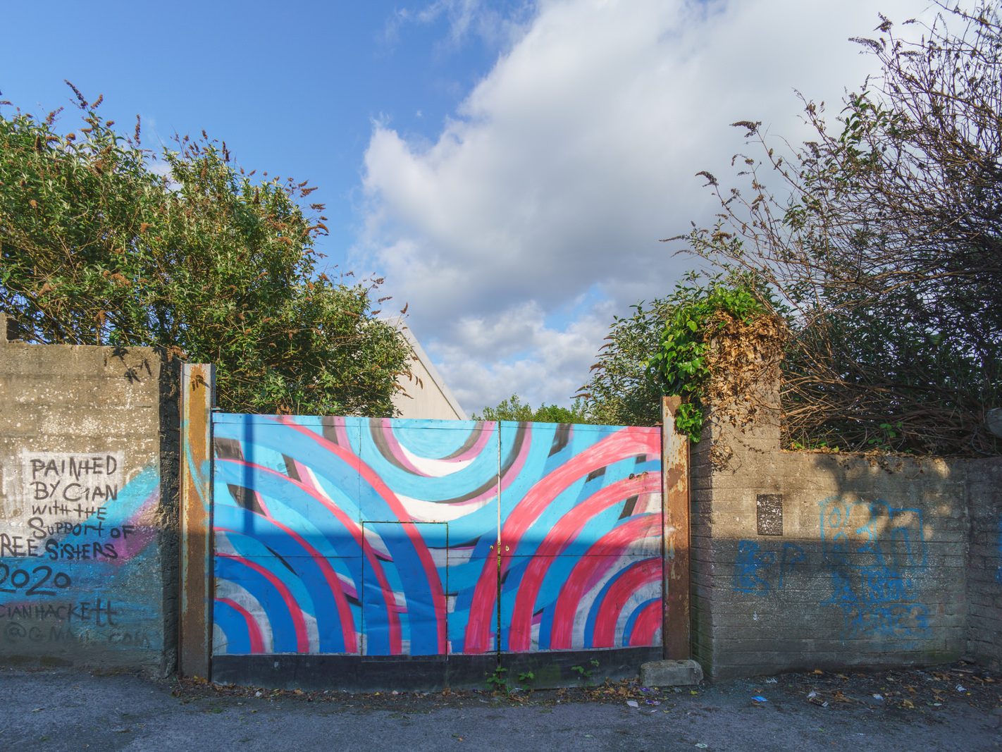 STREET ART IN WATERFORD IN MAY 2016 012