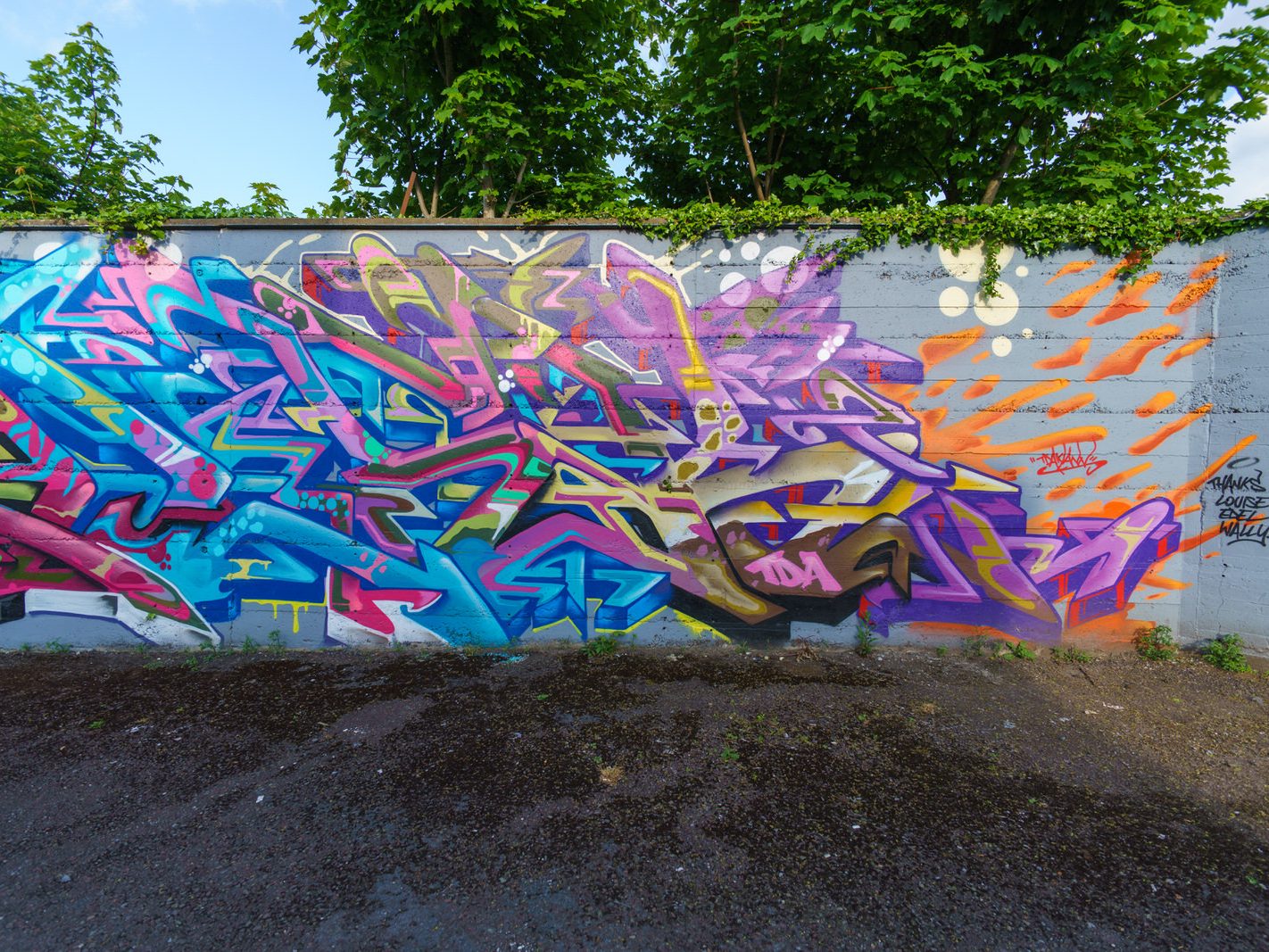 STREET ART IN WATERFORD IN MAY 2016 014