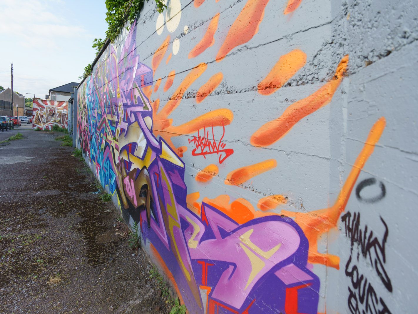 STREET ART IN WATERFORD IN MAY 2016 015