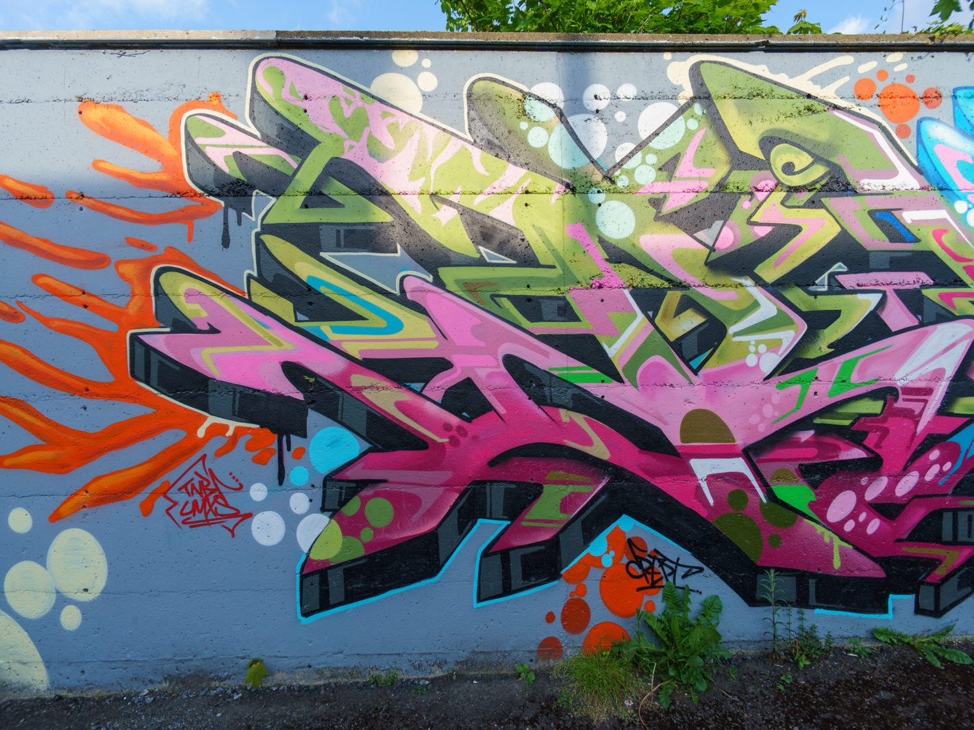 STREET ART IN WATERFORD IN MAY 2016 017
