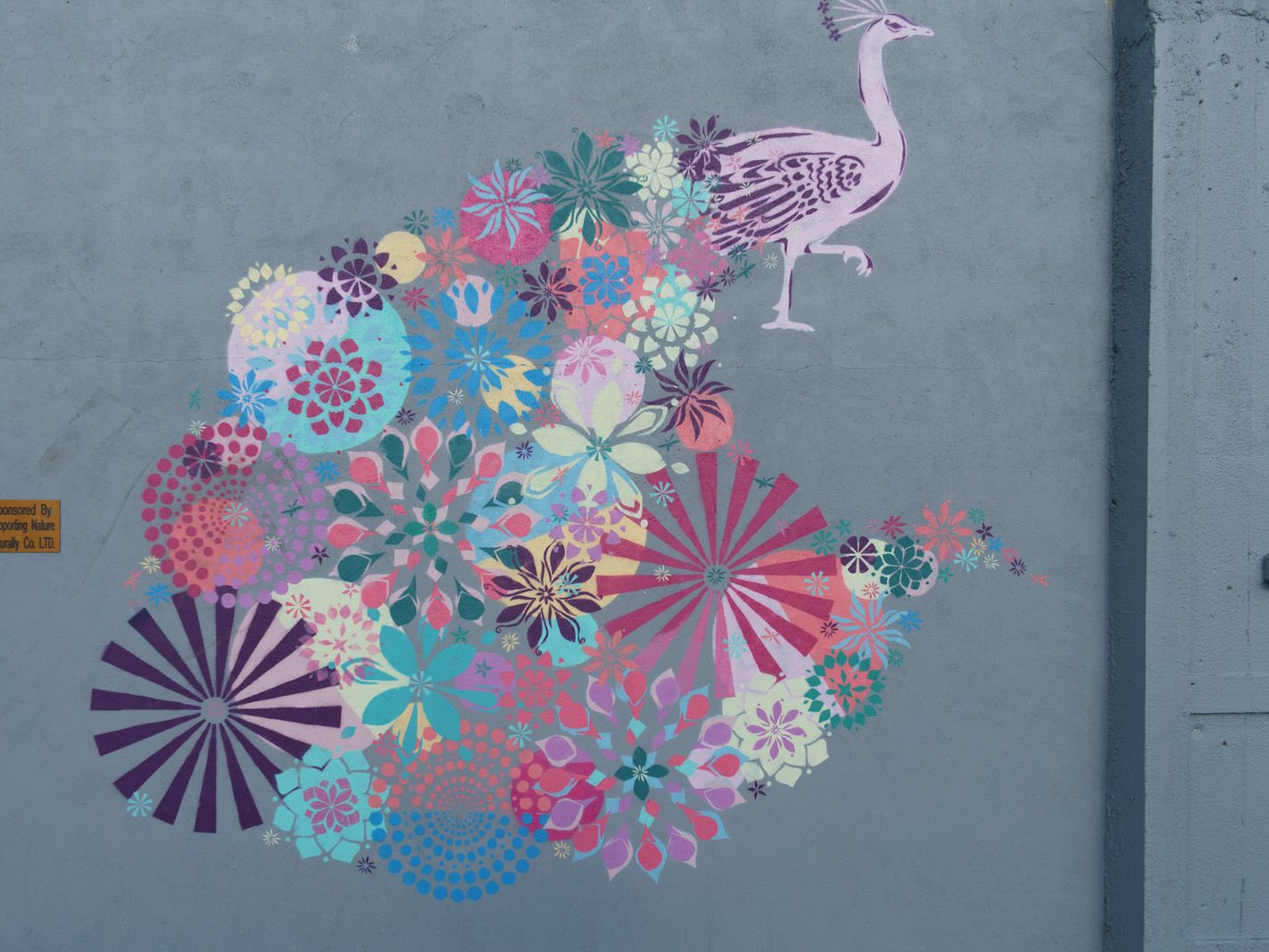 STREET ART IN WATERFORD IN MAY 2016 026