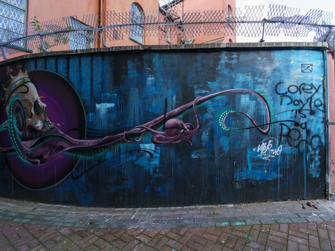STREET ART IN WATERFORD IN MAY 2016 034