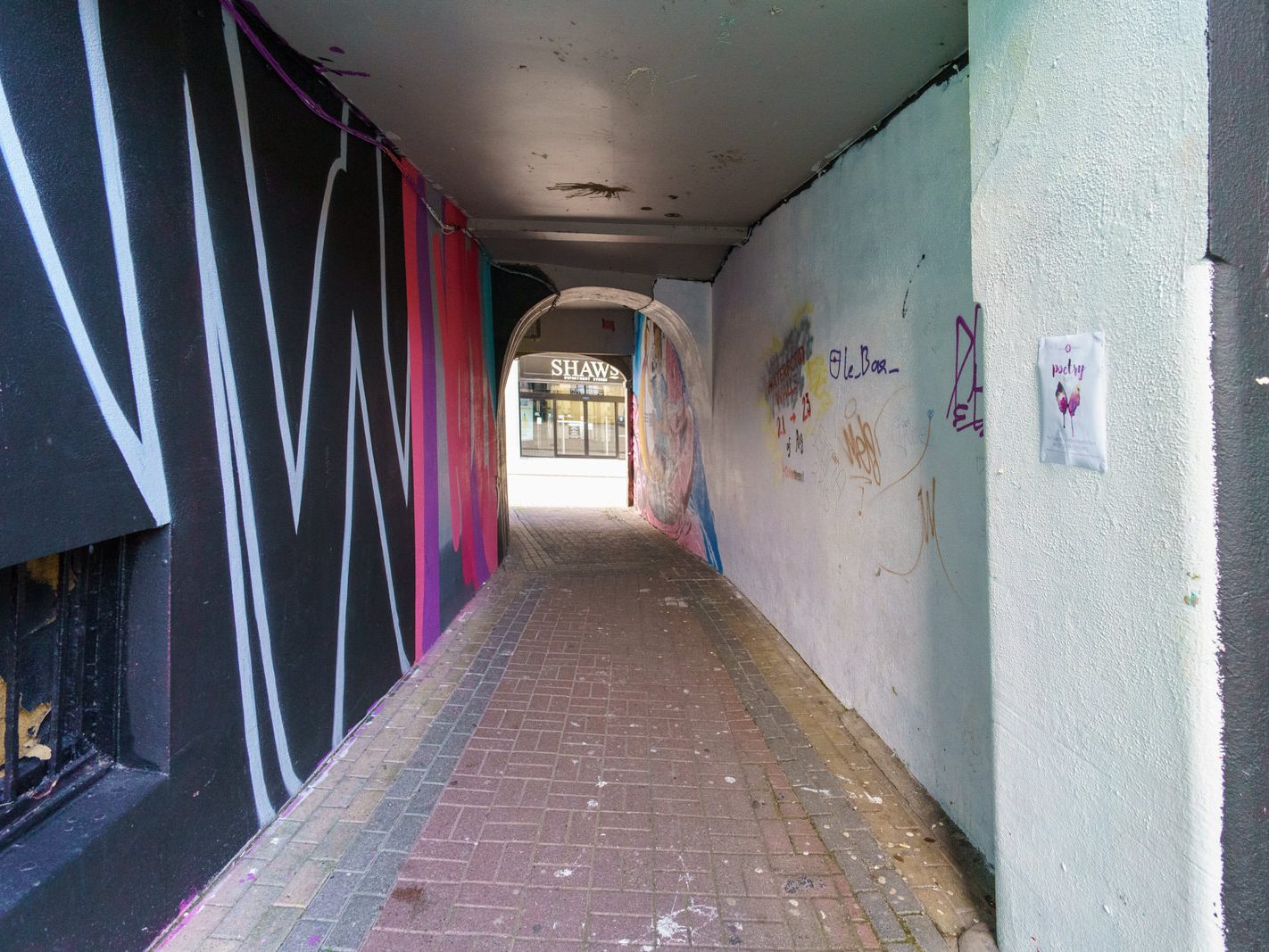 STREET ART IN WATERFORD IN MAY 2016 033