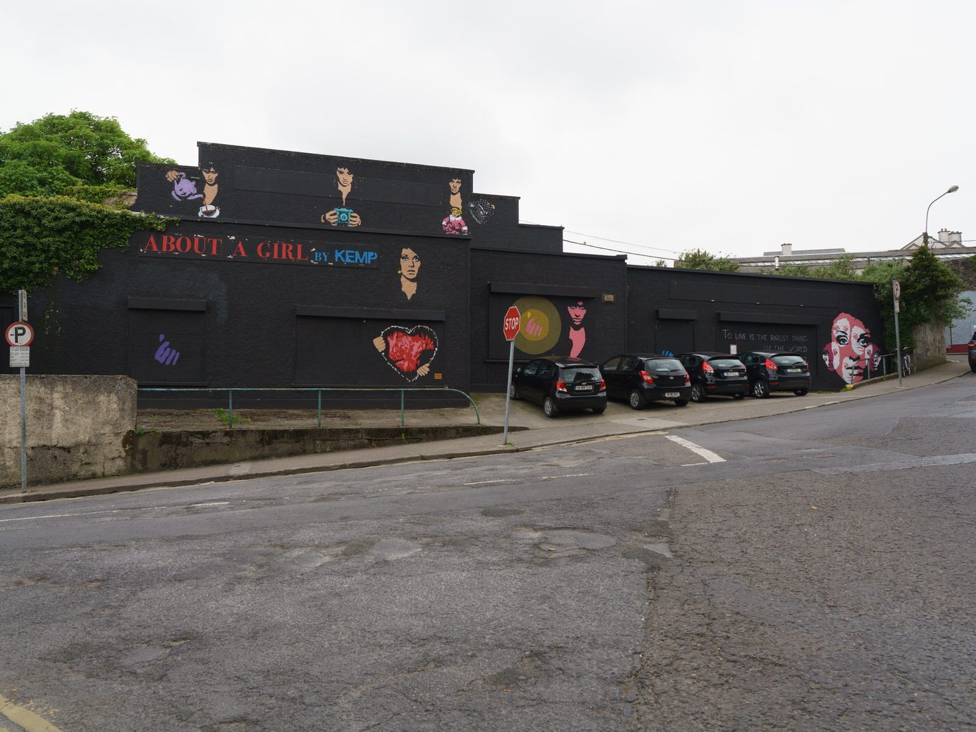STREET ART IN WATERFORD IN MAY 2016 050