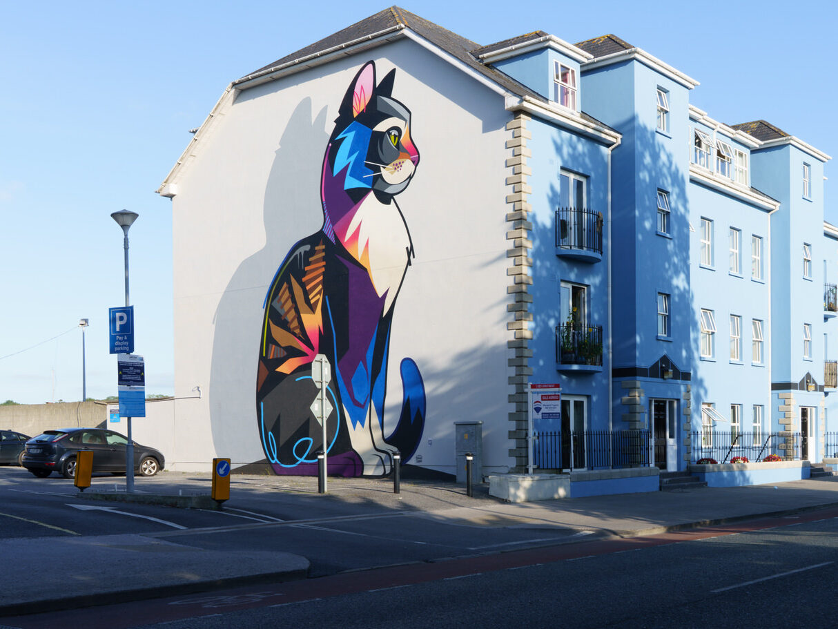 Dan Leo is a British street artist, born in London, who moved to Ireland at a young age.