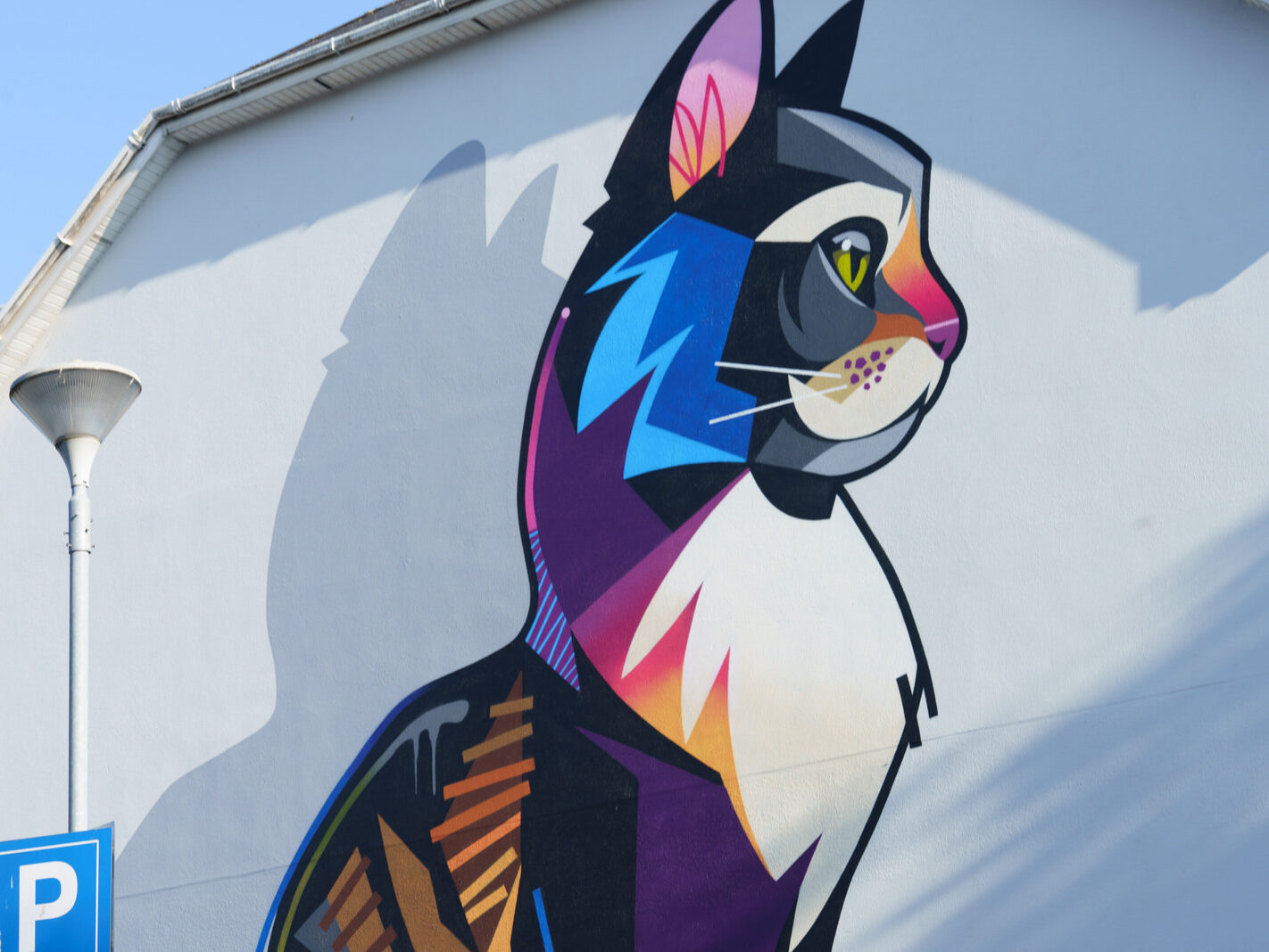 Dan Leo is a British street artist, born in London, who moved to Ireland at a young age.