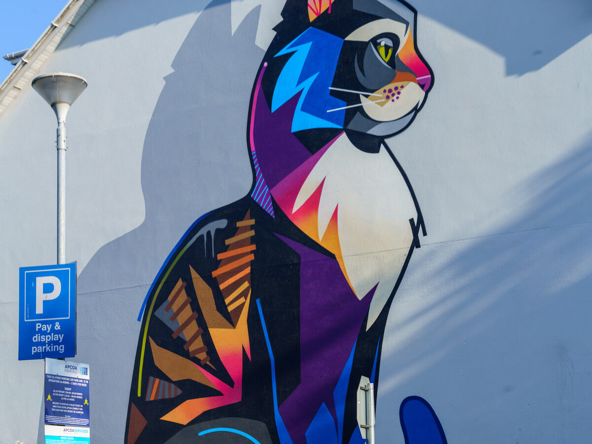 Dan Leo is a British street artist, born in London, who moved to Ireland at a young age.