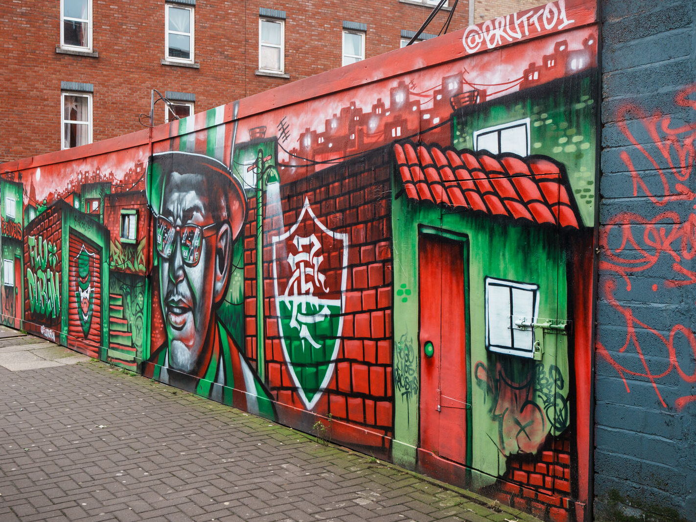 FLUDUBLIN RELATED STREET ART ON PARNELL STREET [BY BRUTTO A BRAZILIAN STREET ARTIST-245783-1