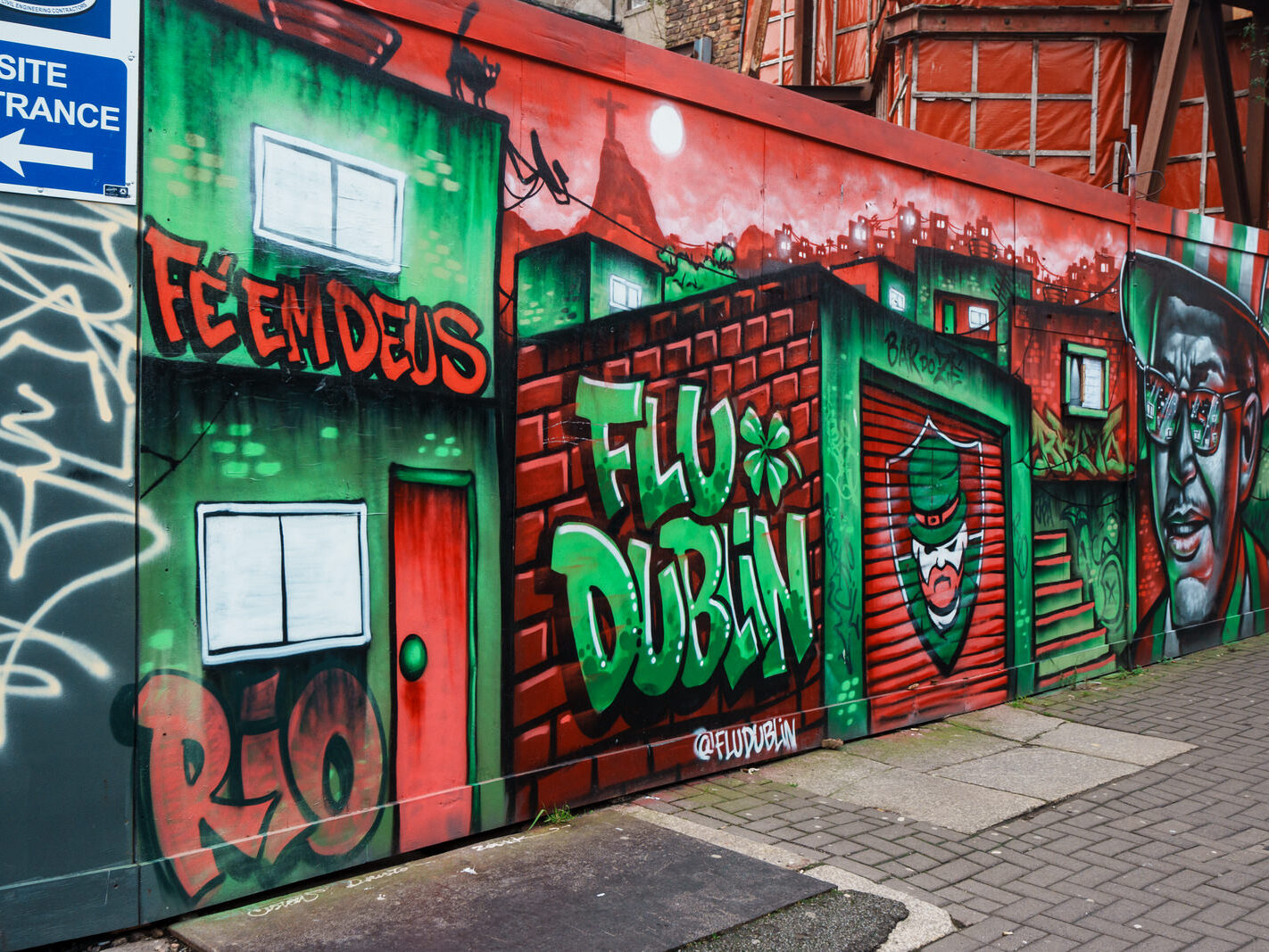 FLUDUBLIN RELATED STREET ART ON PARNELL STREET [BY BRUTTO A BRAZILIAN STREET ARTIST-245785-1