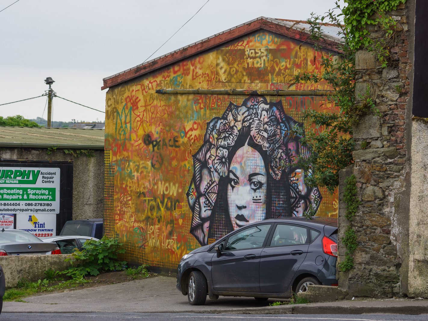 STREET ART IN WATERFORD IN MAY 2016 040