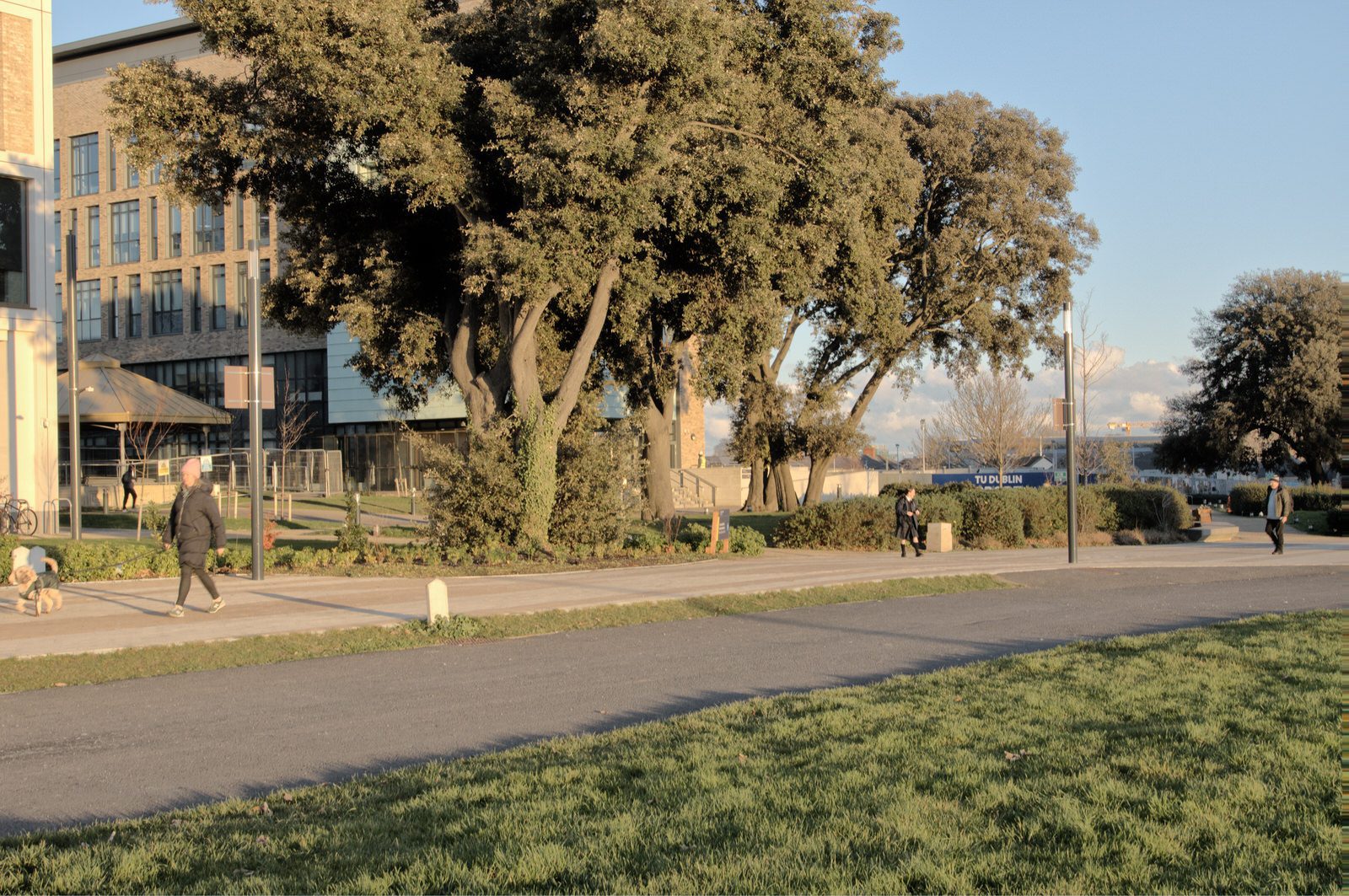 A SUNNY BUT VERY COLD DAY AT THE GRANGEGORMAN UNIVERSITY CAMPUS 024