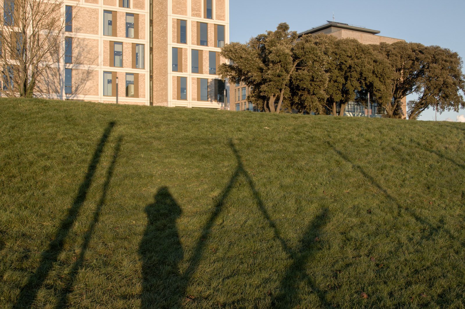 A SUNNY BUT VERY COLD DAY AT THE GRANGEGORMAN UNIVERSITY CAMPUS 020