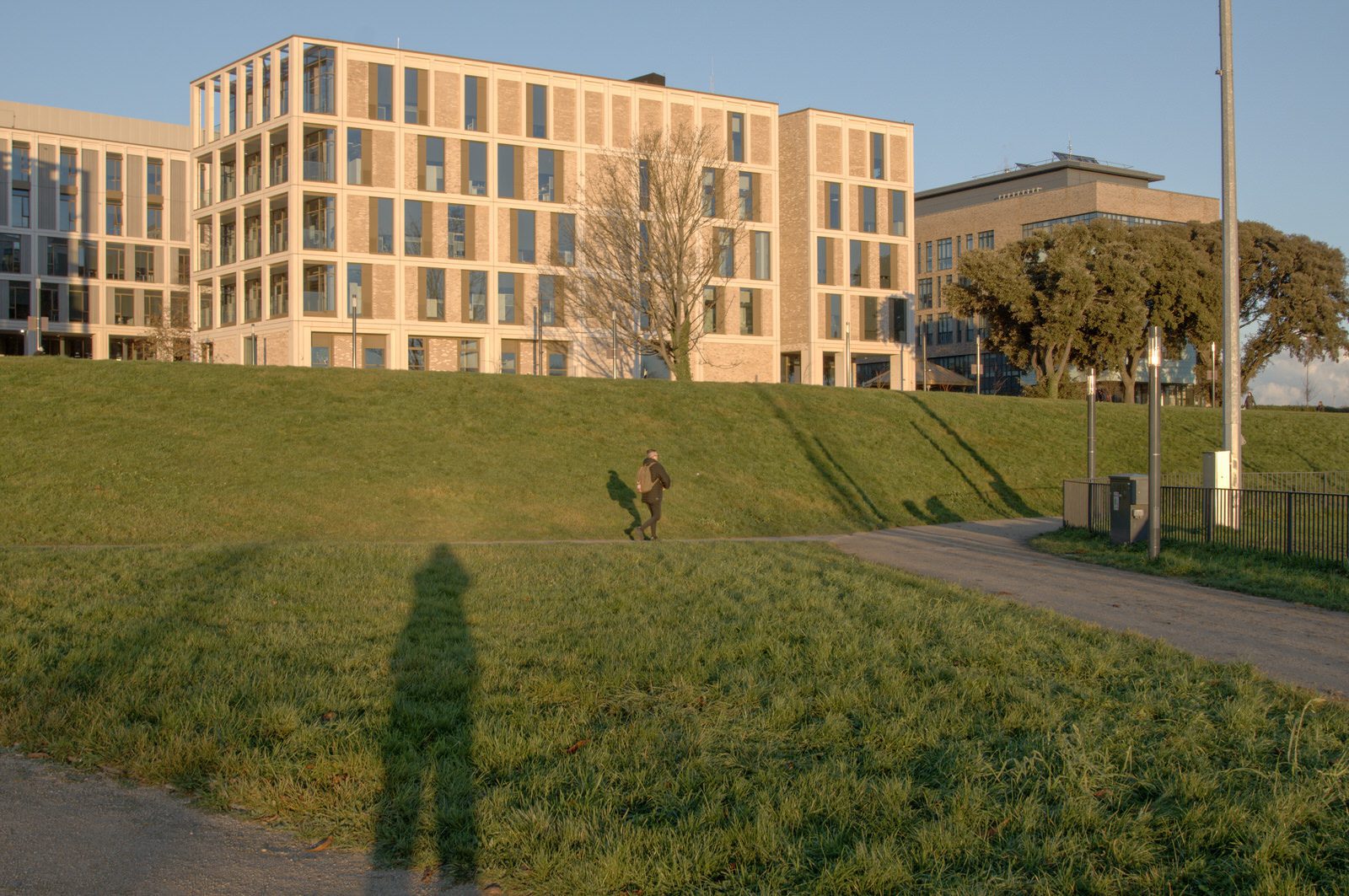 A SUNNY BUT VERY COLD DAY AT THE GRANGEGORMAN UNIVERSITY CAMPUS 016