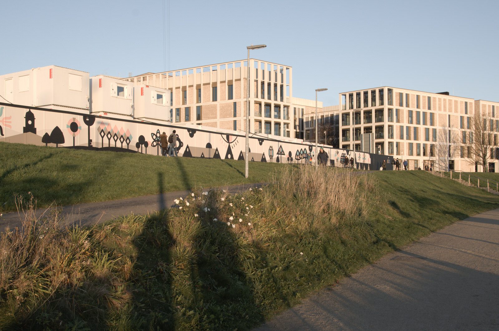 A SUNNY BUT VERY COLD DAY AT THE GRANGEGORMAN UNIVERSITY CAMPUS 018