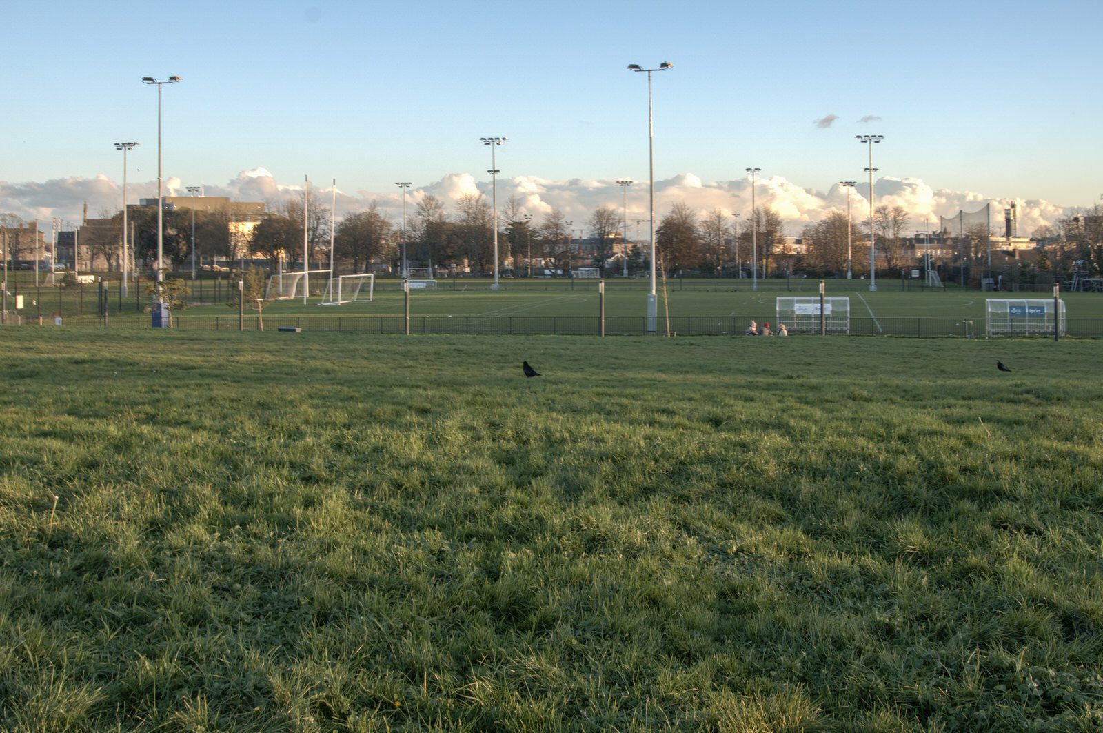 A SUNNY BUT VERY COLD DAY AT THE GRANGEGORMAN UNIVERSITY CAMPUS 005