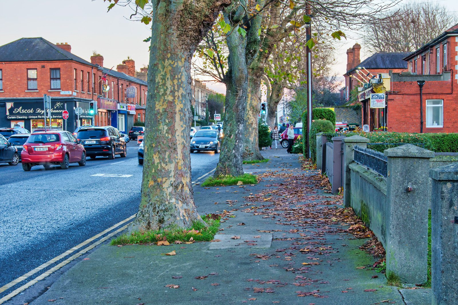A WALK ALONG A SECTION OF CABRA ROAD  005