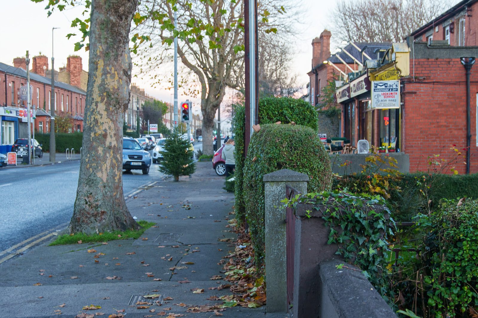 A WALK ALONG A SECTION OF CABRA ROAD  004