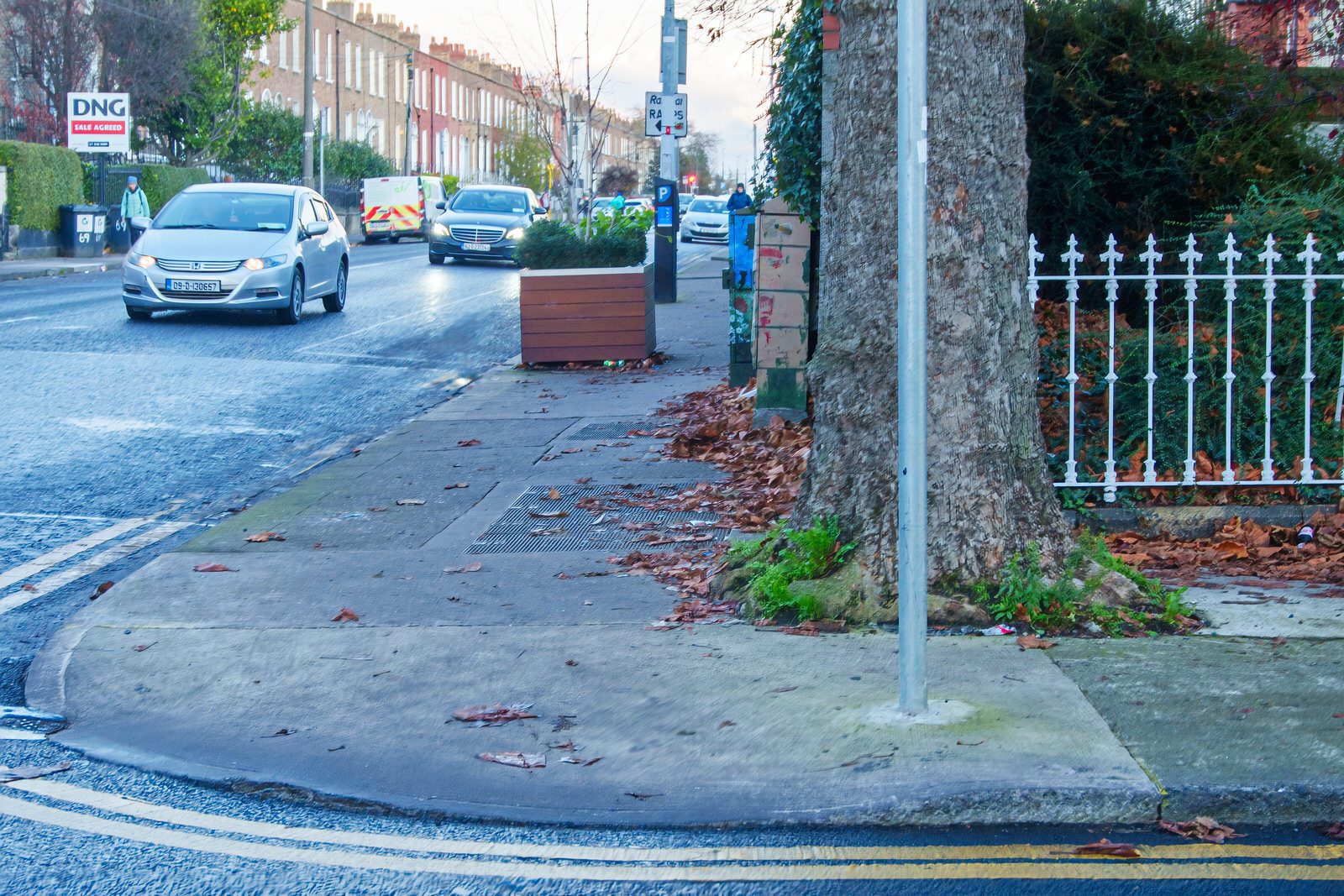 A WALK ALONG A SECTION OF CABRA ROAD  010