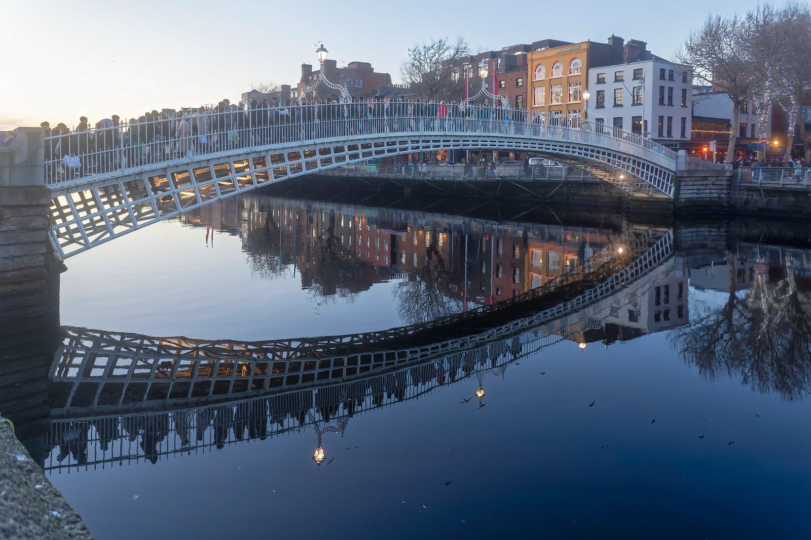 ASTON QUAY AND THE HALFPENNY BRIDGE AND LOTS OF SEAGULLS 004