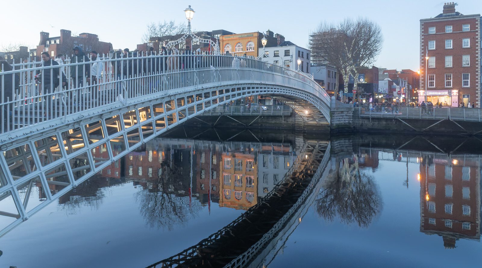 ASTON QUAY AND THE HALFPENNY BRIDGE AND LOTS OF SEAGULLS 003