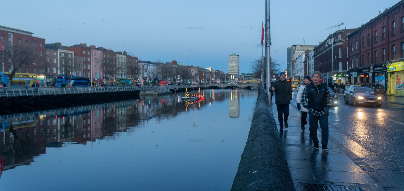 ASTON QUAY AND THE HALFPENNY BRIDGE AND LOTS OF SEAGULLS 002