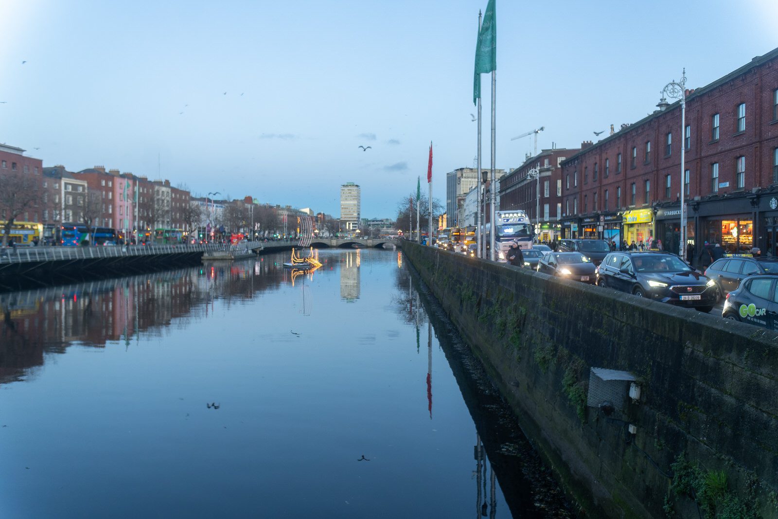 ASTON QUAY AND THE HALFPENNY BRIDGE AND LOTS OF SEAGULLS 001