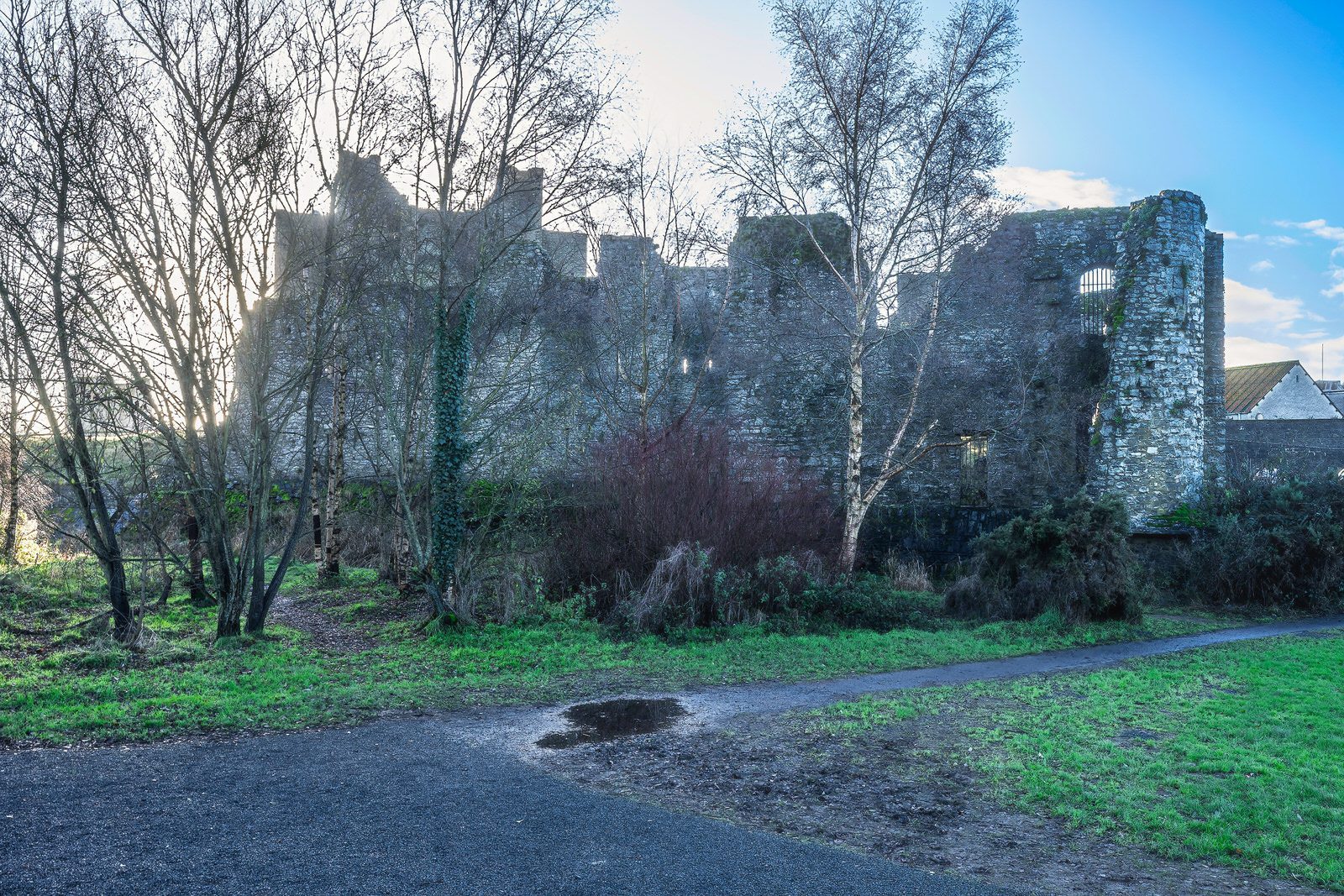 CHRISTMAS DAY VISIT TO TRIM CASTLE 003