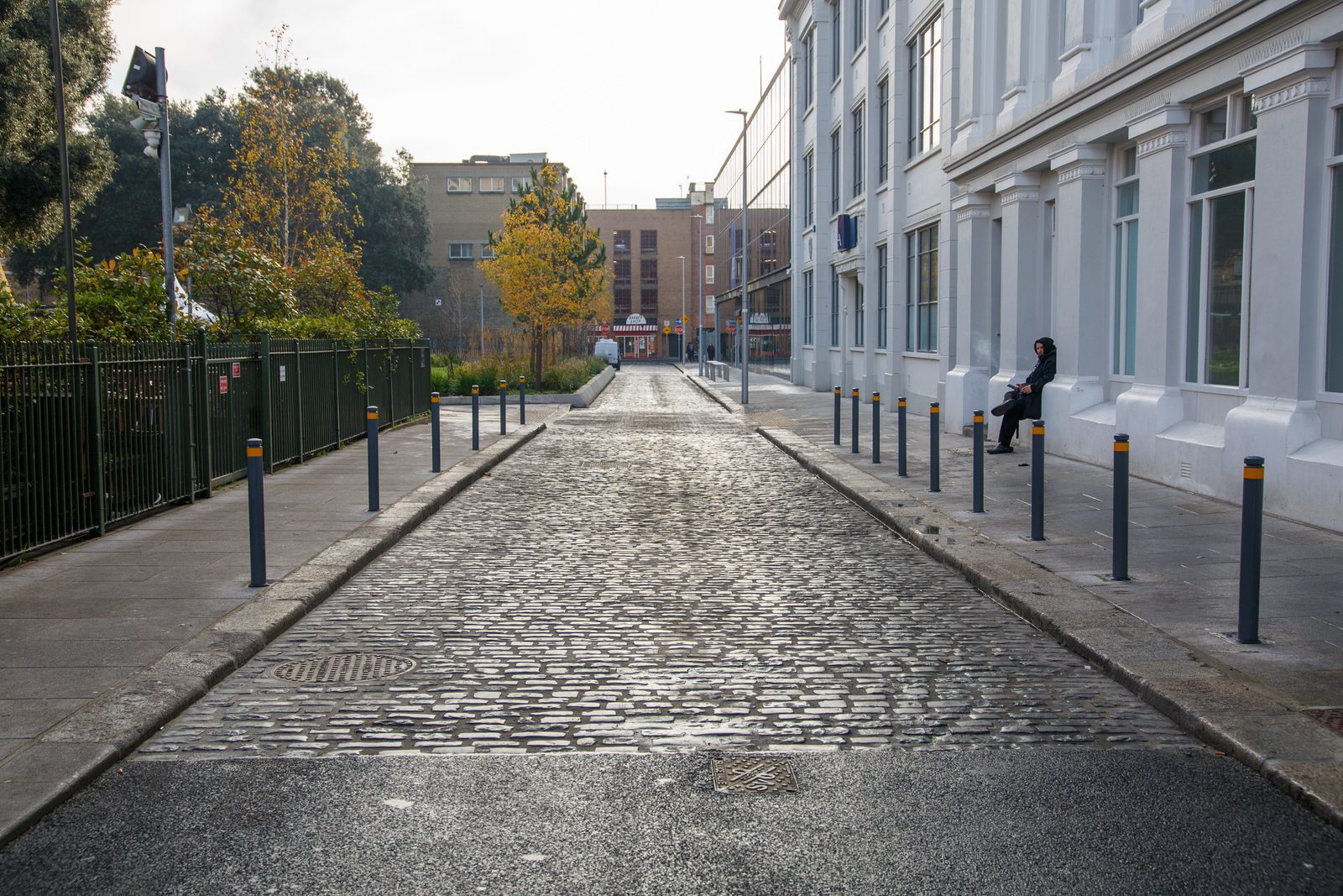 WOLFE TONE STREET AND WOLFE TONE PARK  005