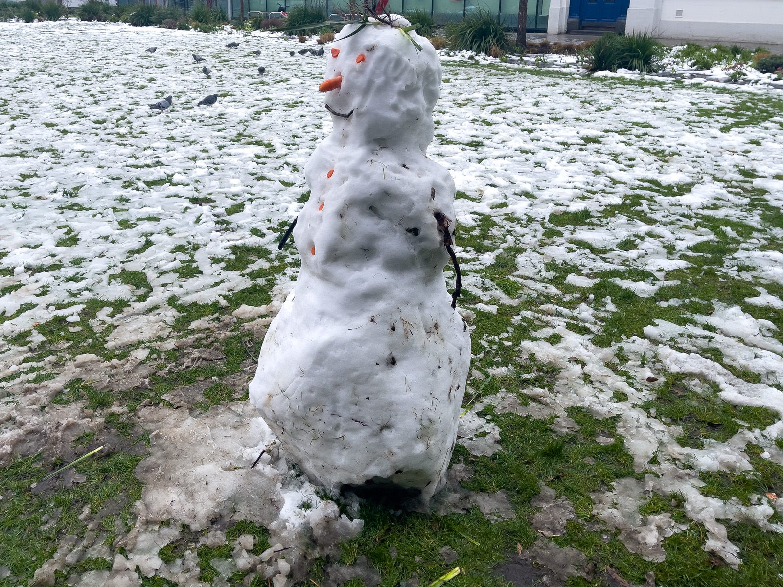 A WELL DRESSED BUT LONELY SNOWMAN [WOLFE TONE PARK IN DUBLIN]-228982-1
