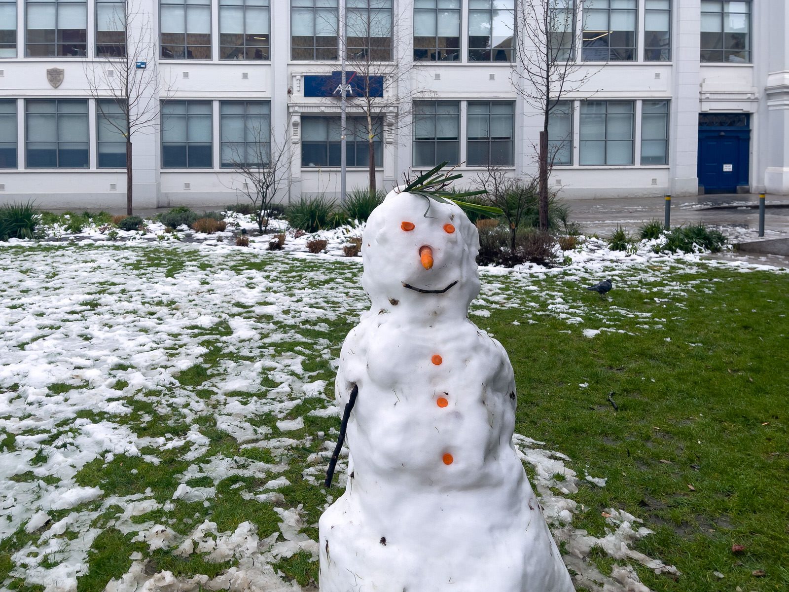 A WELL DRESSED BUT LONELY SNOWMAN [WOLFE TONE PARK IN DUBLIN]-228983-1