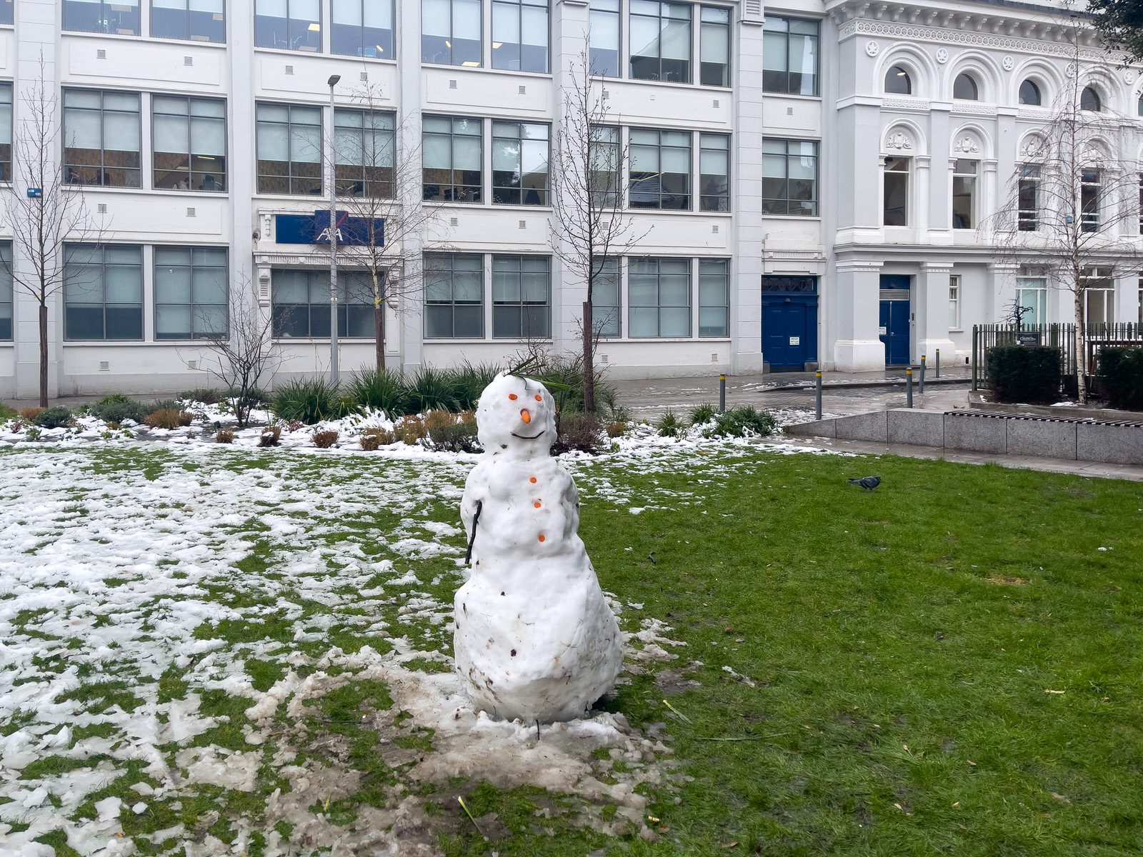 A WELL DRESSED BUT LONELY SNOWMAN [WOLFE TONE PARK IN DUBLIN]-228984-1