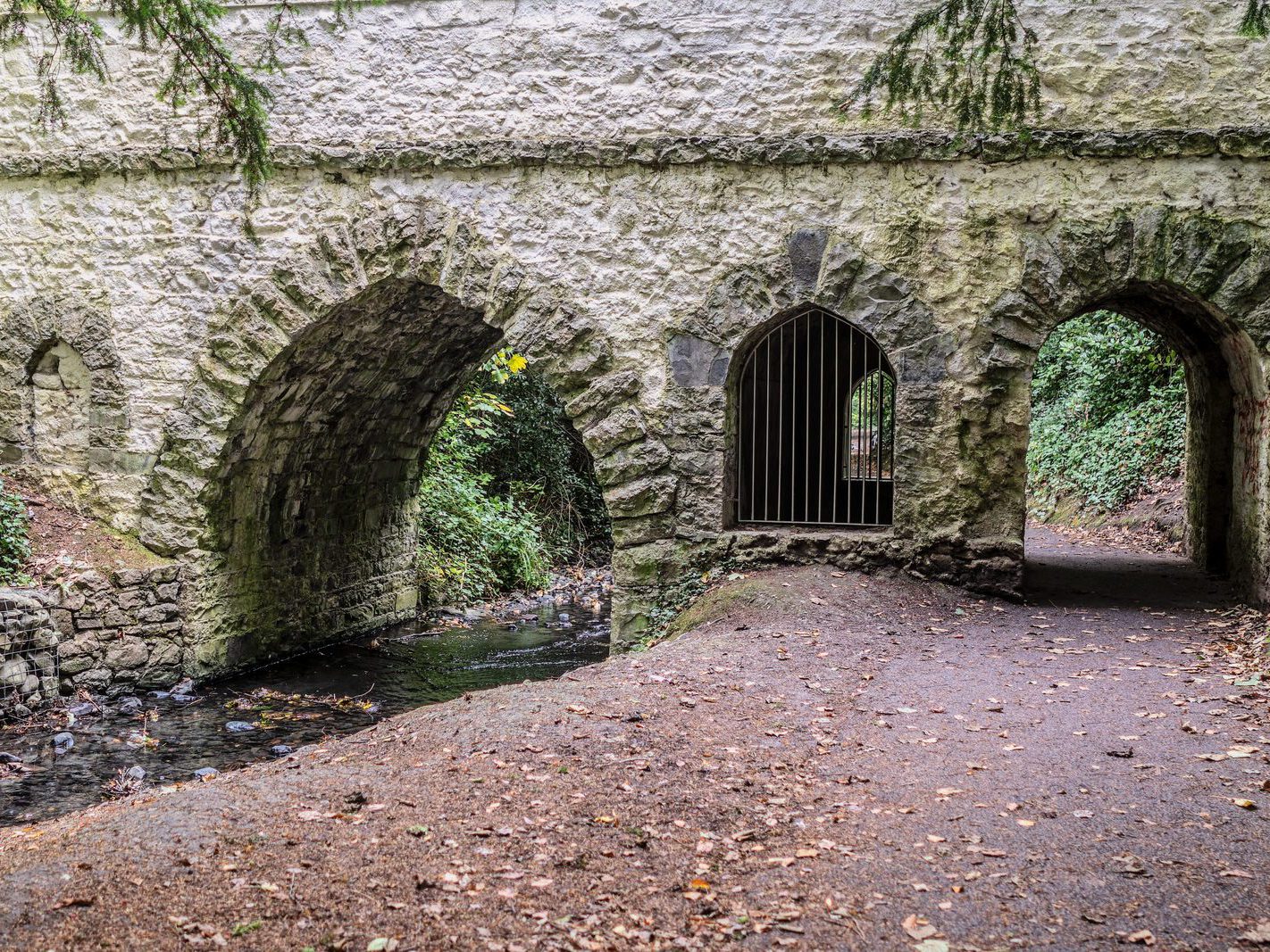 THE GOTHIC BRIDGE [ST ANNE'S PARK 28 SEPTEMBER 2024]-241874-1