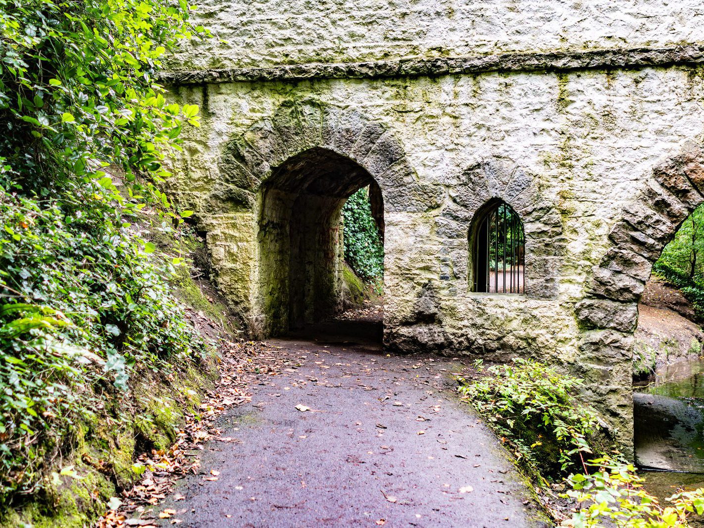 THE GOTHIC BRIDGE [ST ANNE'S PARK 28 SEPTEMBER 2024]-241877-1