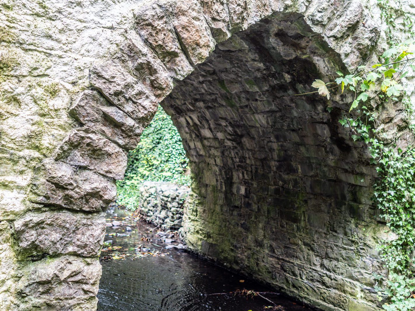 THE GOTHIC BRIDGE [ST ANNE'S PARK 28 SEPTEMBER 2024]-241879-1