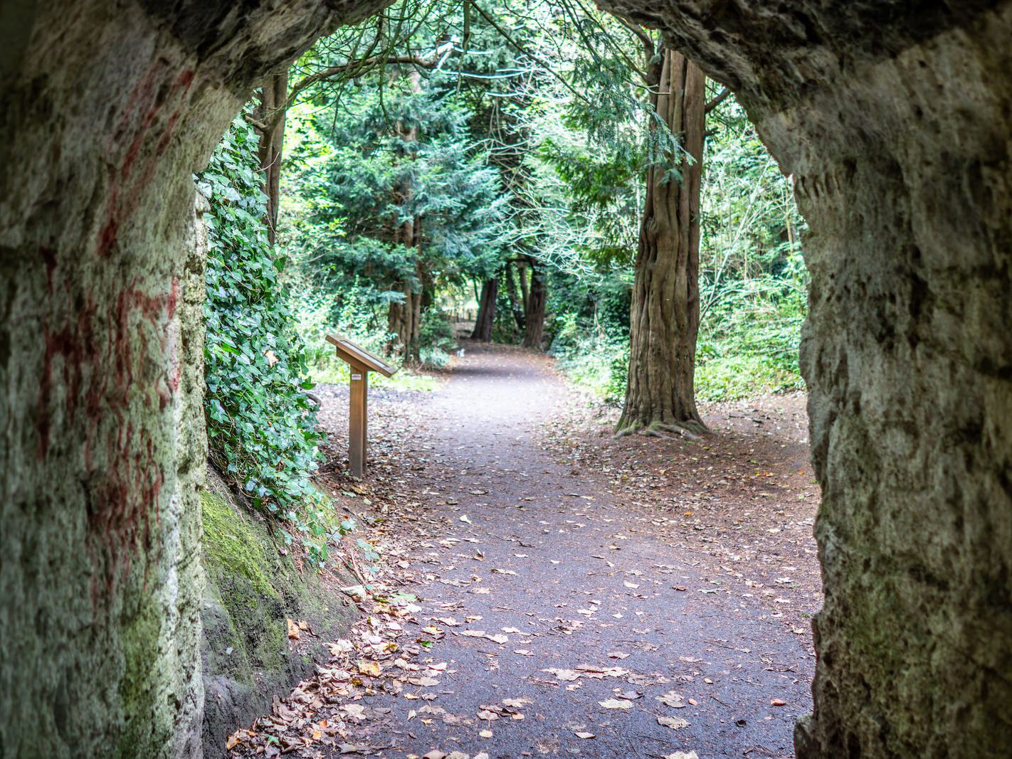 THE GOTHIC BRIDGE [ST ANNE'S PARK 28 SEPTEMBER 2024]-241880-1