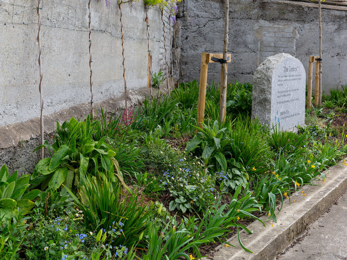 THE TENTERS COMMEMORATIVE STONE [CLARENCE MANGAN ROAD DUBLIN 8]-249715-1