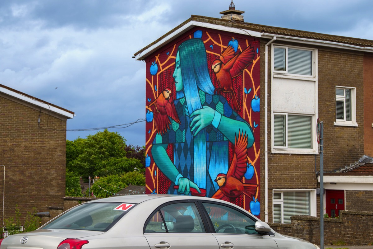 MURAL BY FRIZ NOONAN ROAD CORK